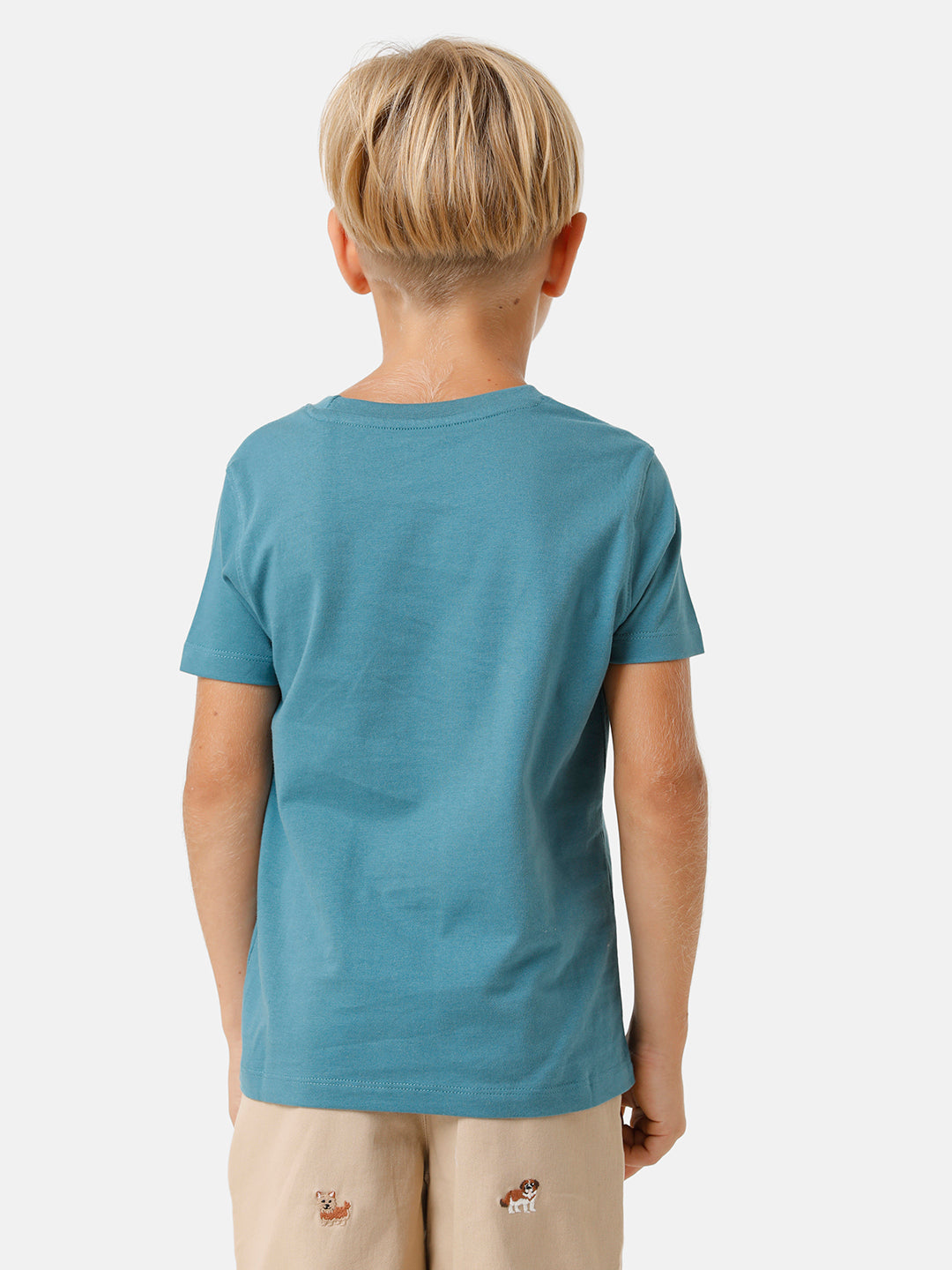 Boys Placement Printed T-shirt