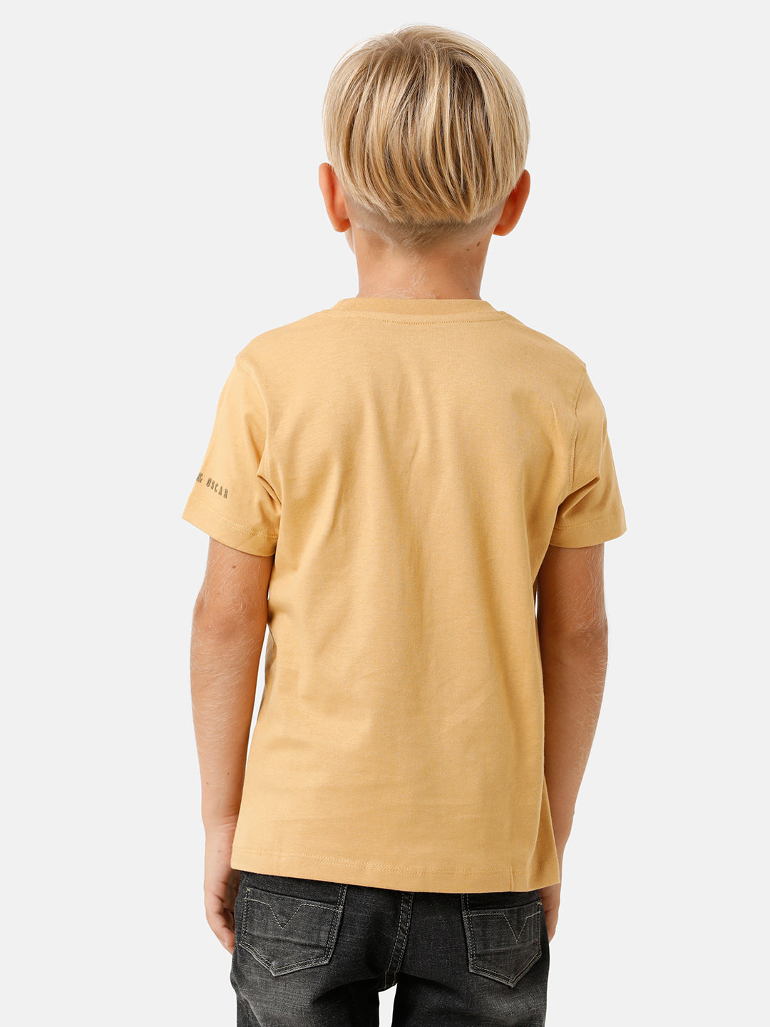 Boys Placement Printed T-shirt