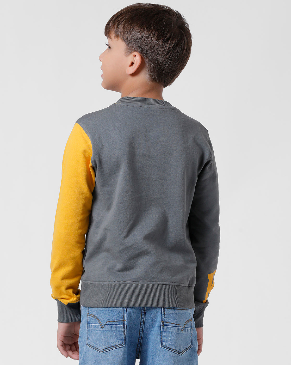 Grey Cut & Sew Sweatshirt